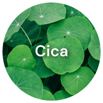 PAULONE AudeLift 7 Plant Exctracts: #3 Cica