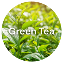 PAULONE AudeLift 7 Plant Exctracts: #2 Green Tea