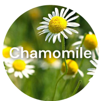 PAULONE AudeLift 7 Plant Exctracts: #7 Chamomile